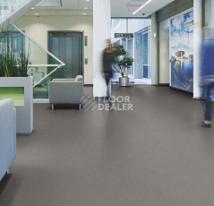 Forbo Marmoleum Decibel on Order 370535 meteorite фото 2 | FLOORDEALER